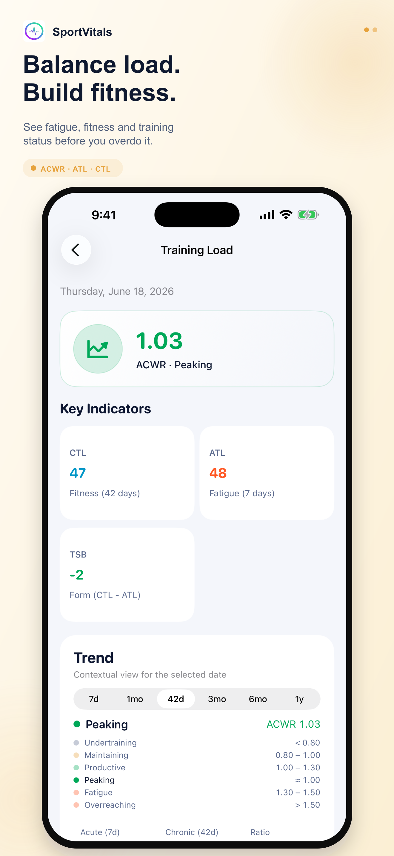 Training Load Metric